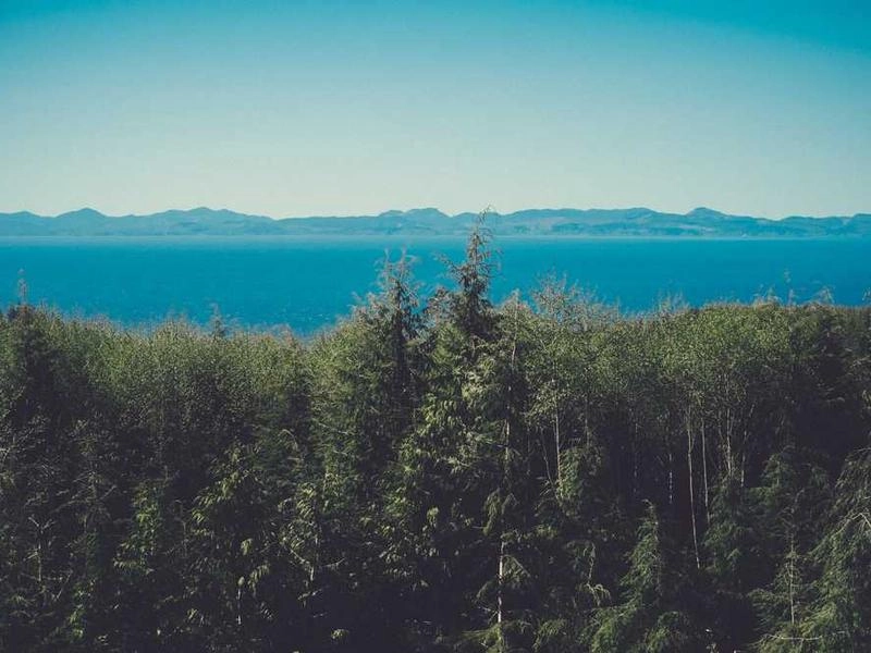 Los Angeles Artisan Board Co. - Gallery image