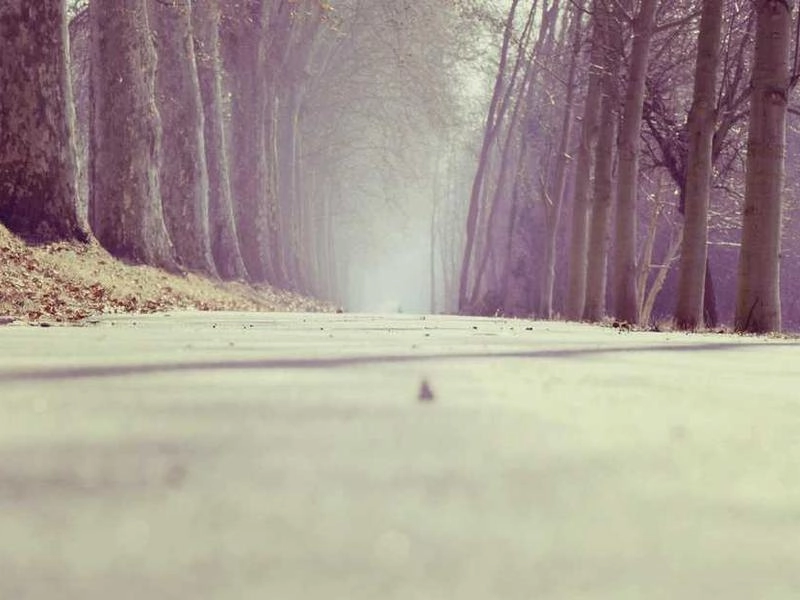 San Dimas Post-Event Clean Crew - Gallery image