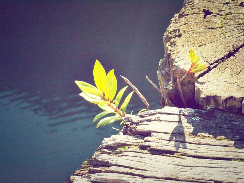 Daly City Premier Event Staffing - Gallery image