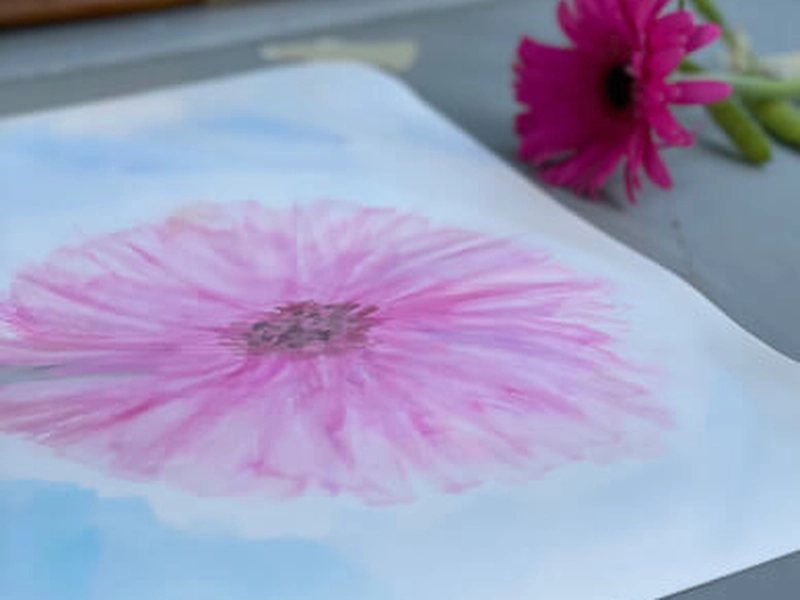 Nature-Inspired Watercolor Painting Workshop for Teams - Gallery image