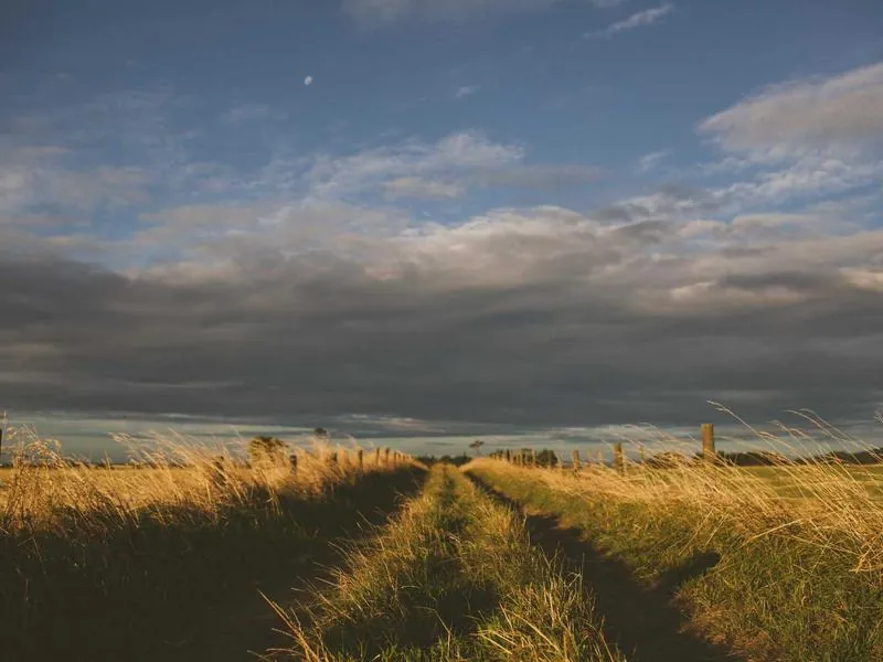 San Jose Tech District Immersive VR Team Building - Gallery image