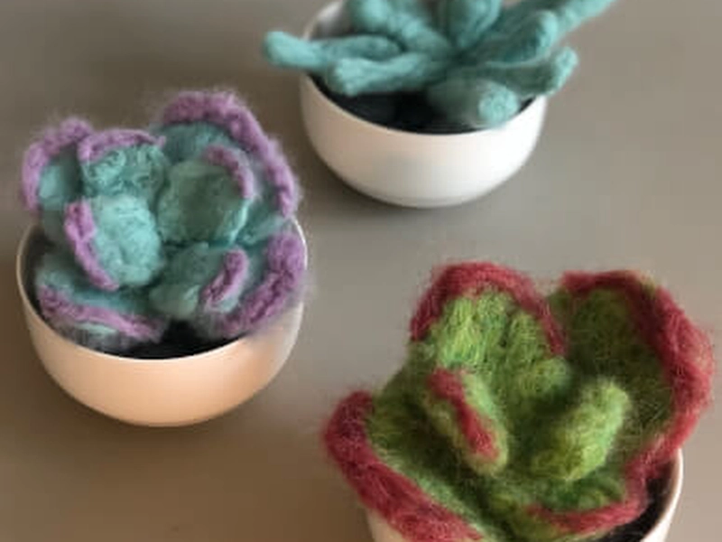 Needle Felting Workshop: Create Wool Succulents for Teams - Featured image