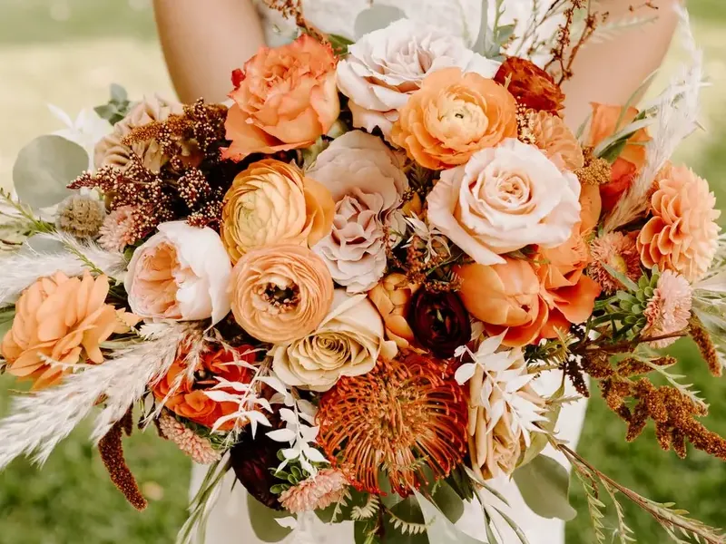 Starting Package - Gallery image