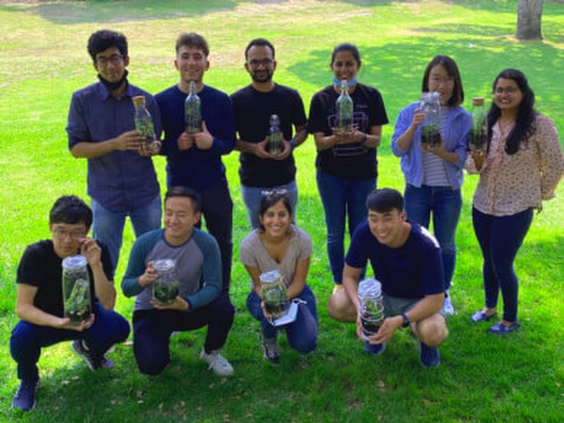 Closed Terrarium Workshop for Team Building and Creativity - Featured image