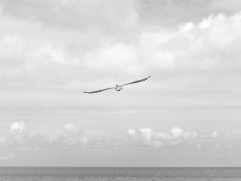 Ontario Corporate Rentals & Staging - Gallery image