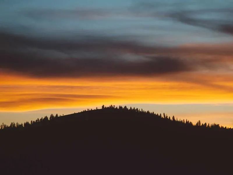 Los Angeles Culinary Adventure Team - Gallery image