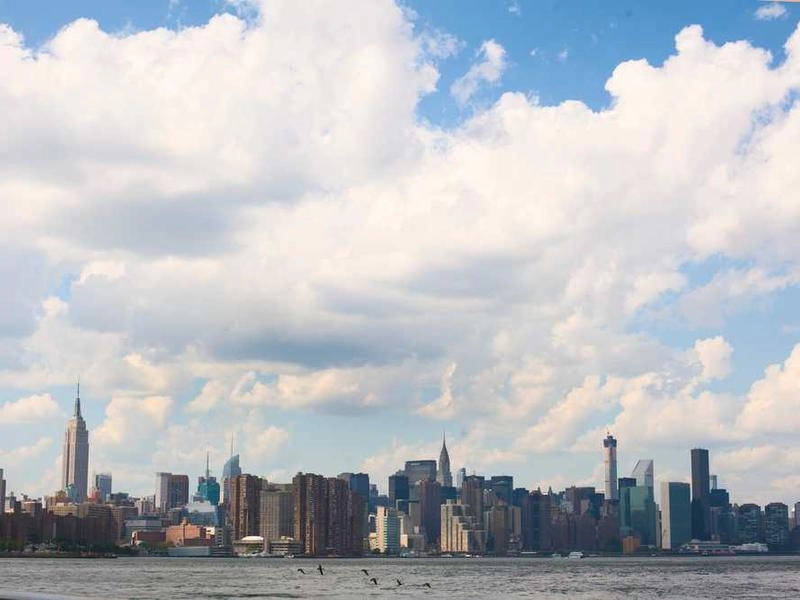 Los Angeles Artisan Board Co. - Gallery image