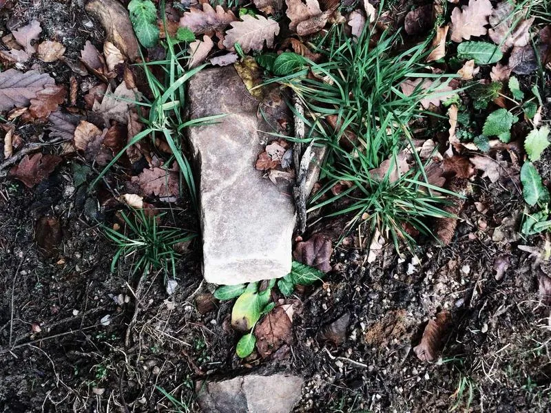 Milpitas Corporate Conference Center - Gallery image