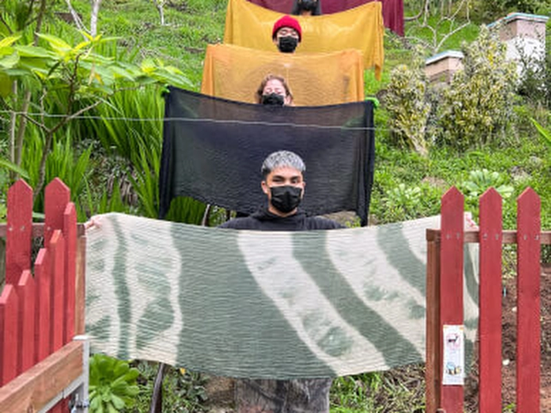 Natural Dyeing Workshop: Create with Plant-Based Colors - Featured image