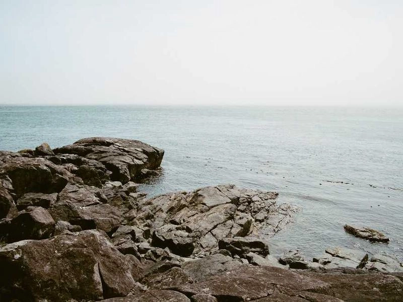 Berkeley Event Sanitation Specialists - Gallery image