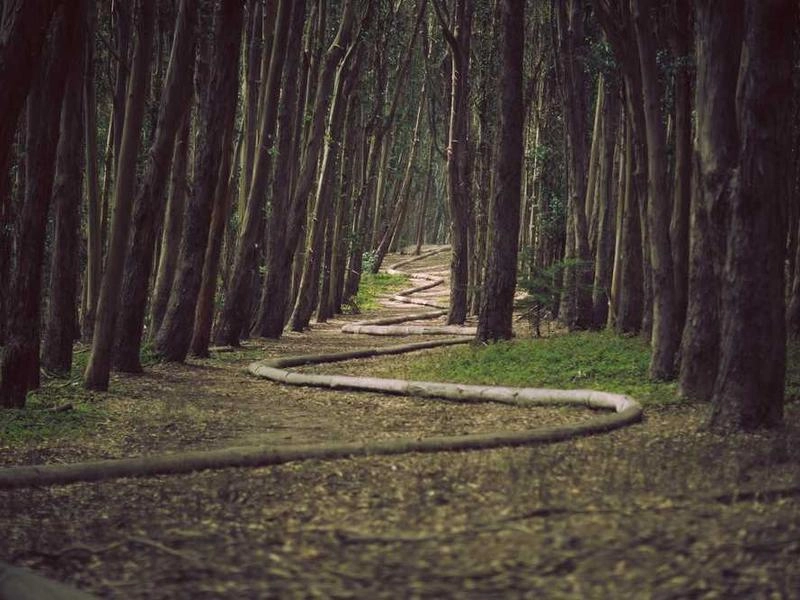 San Mateo Corporate Shuttle & Transport - Gallery image