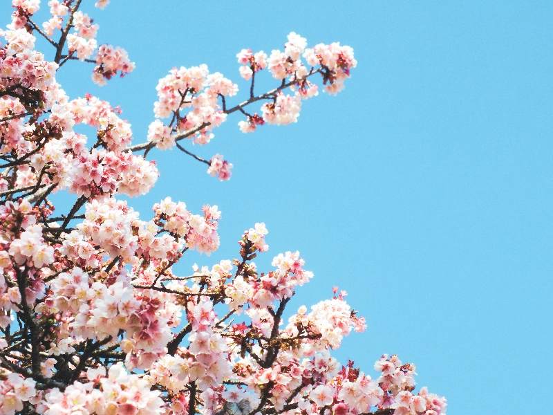 Package A Editing test - Gallery image