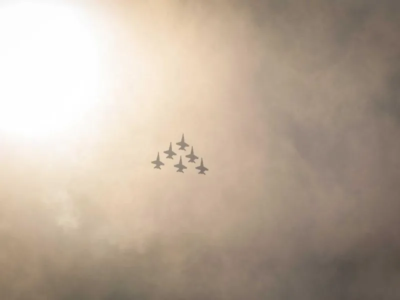 Portland Forest Foraging & Team Building - Featured image