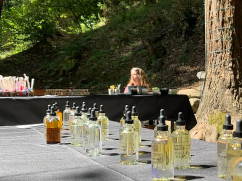 Custom Perfume Creation Workshop for Team Bonding - Gallery image