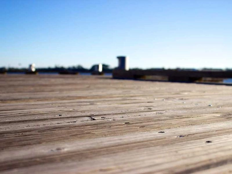 Sunnyvale Synergy Circuit - Gallery image