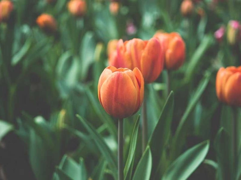 San Bruno Corporate Event Stylists - Gallery image