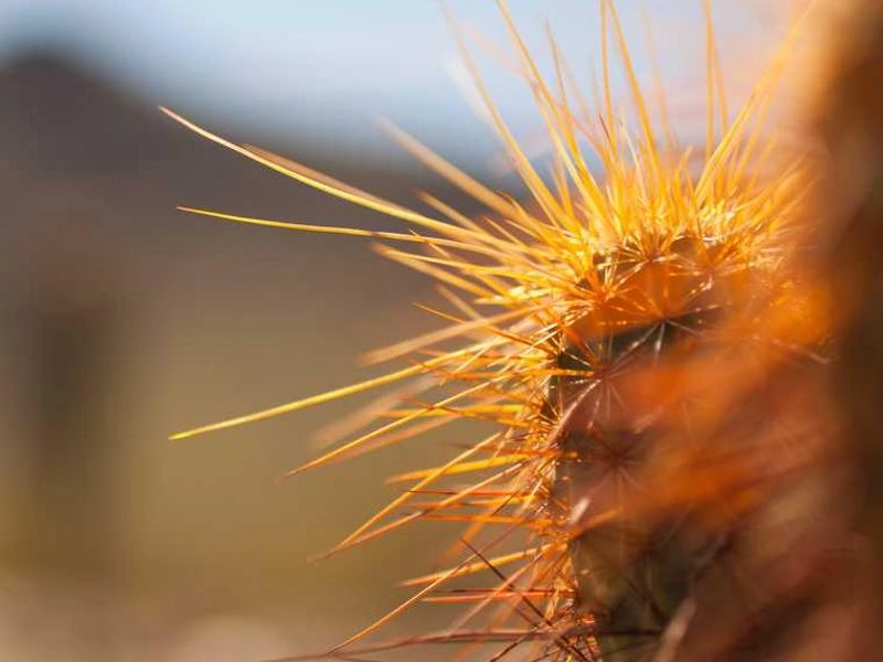 South San Francisco Corporate Event Styling - Gallery image