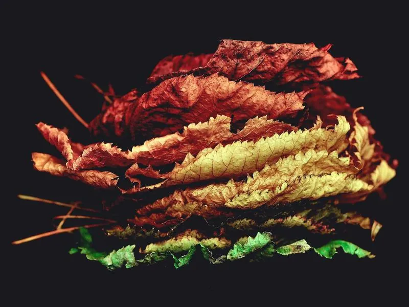 Livermore Corporate DJ - Gallery image