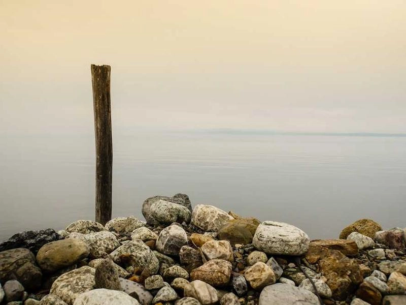 South San Francisco Bayside Bites Catering - Featured image