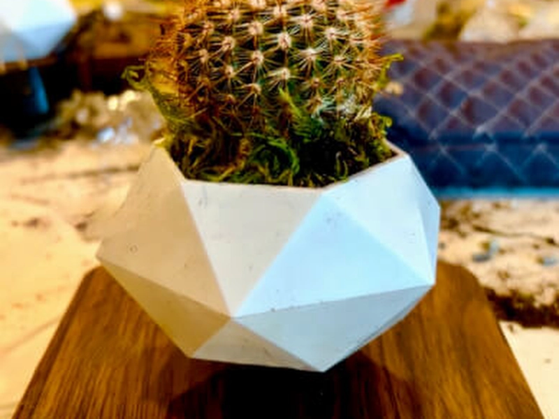 Floating Terrariums Workshop: Create Gravity-Defying Gardens - Featured image