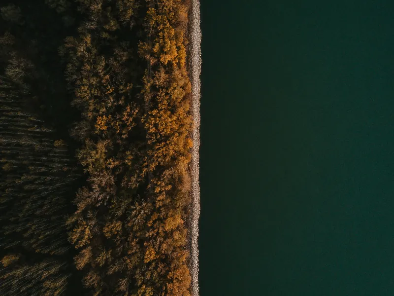 Virtual Request - Featured image