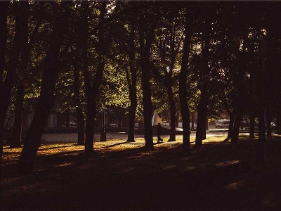 Premier Party Rentals Rentals - Featured