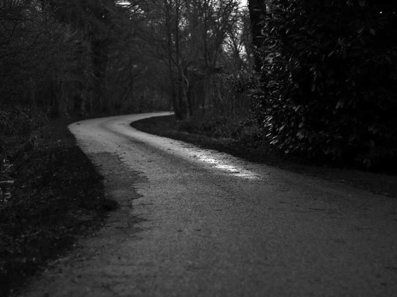 Ojai Valley Acoustic Ensemble - Gallery image