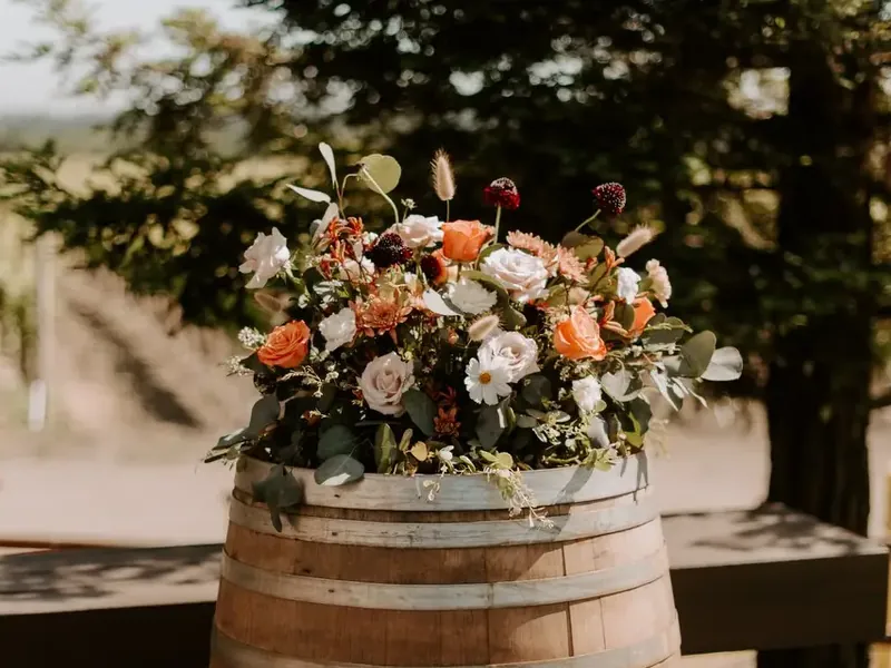 Starting Package - Gallery image