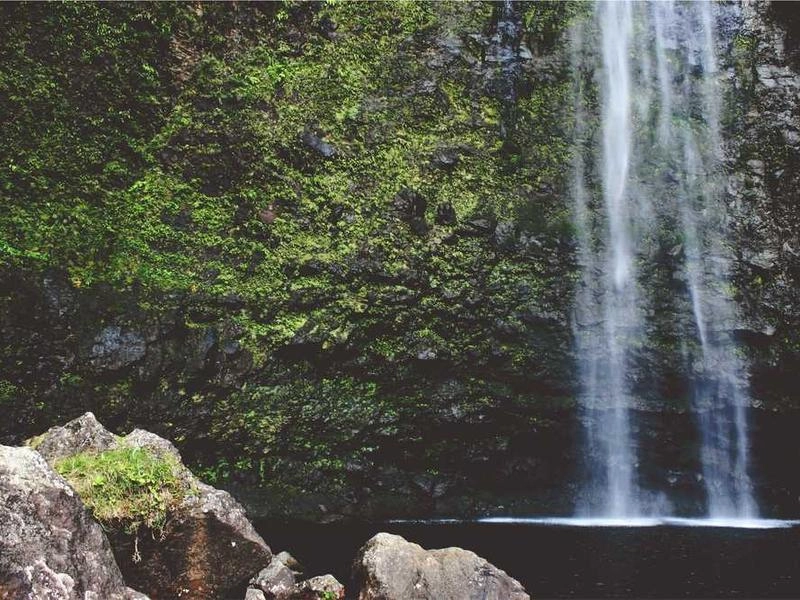 Culver City Artisan Bites & Boards - Featured image