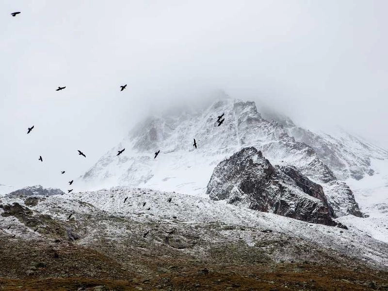 Palo Alto Synergy Labs - Featured image