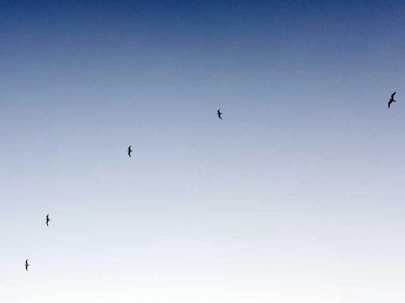 Chino Corporate Kits & Supplies - Featured image