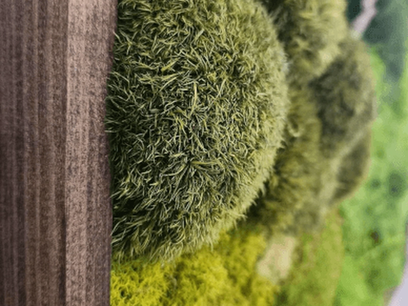 Moss Wall Art Creation Workshop for Team Building - Featured image
