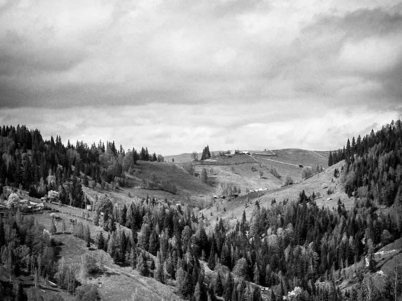 Los Angeles Culinary Adventure Team - Gallery image