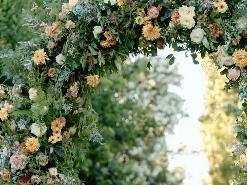 Starting Package - Gallery image