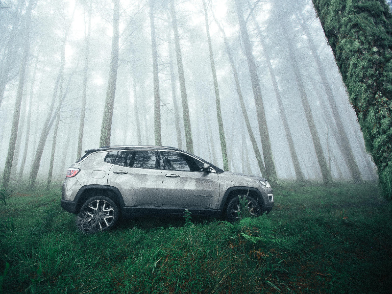 QA Vendor AO - Gallery image