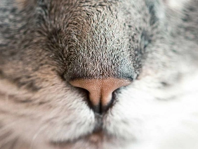 Salinas Corporate Event Styling Decoration in Salinas - Featured