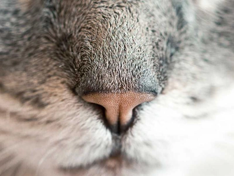 Salinas Corporate Event Styling - Featured image