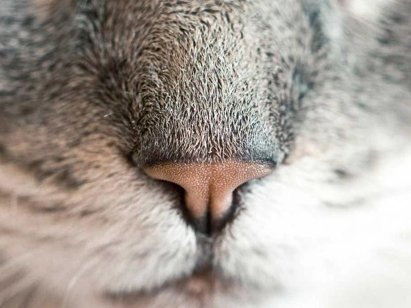 Salinas Corporate Event Styling - Product Launch in Salinas - Featured image