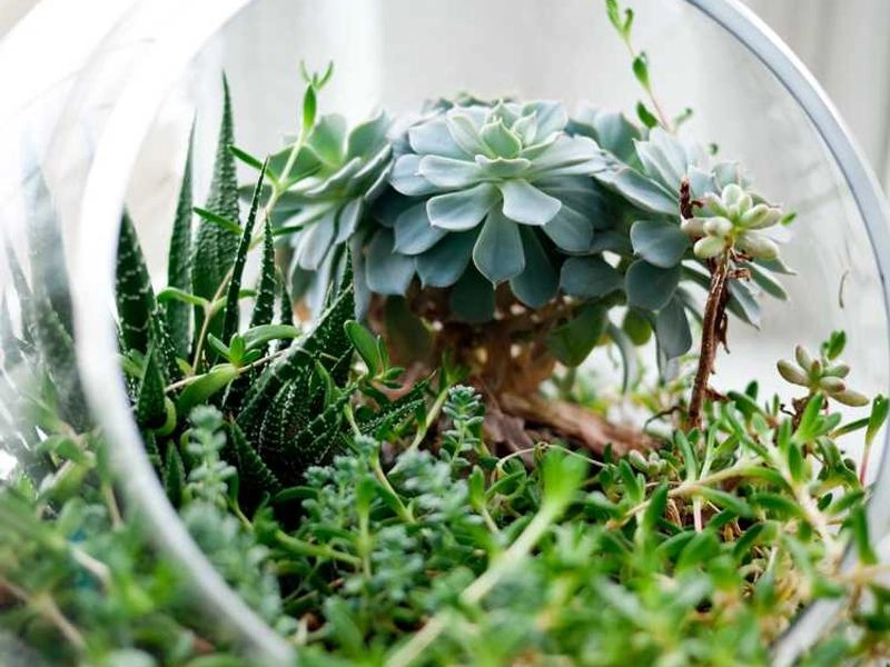 El Segundo Precision AV Support - Gallery image