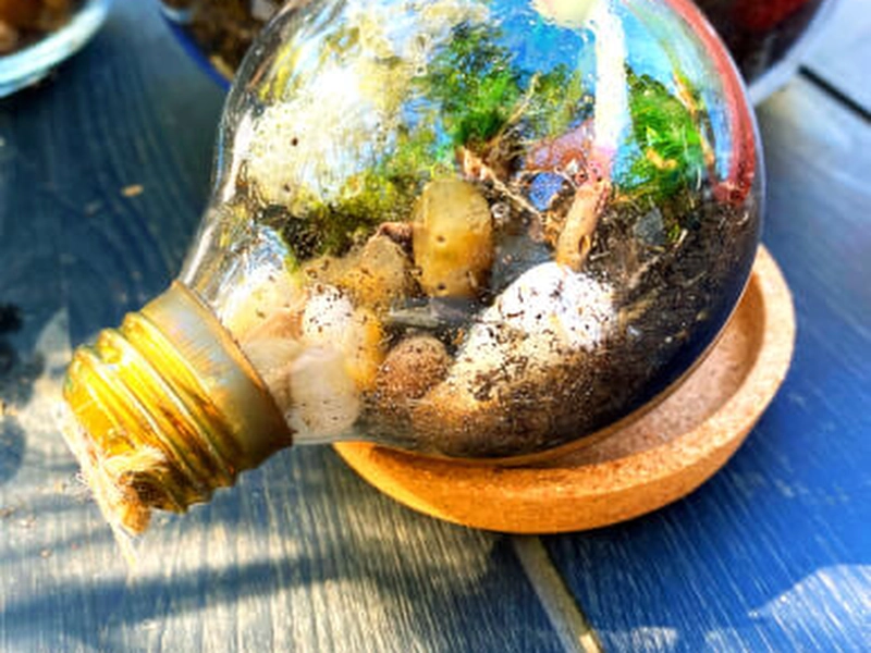 Closed Terrarium Workshop for Team Building and Creativity - Gallery image