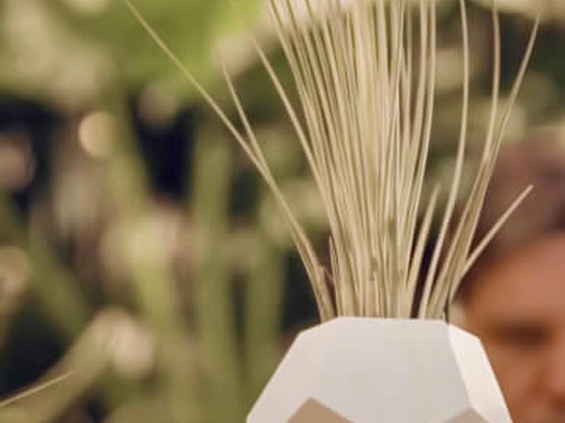 Floating Terrariums Workshop: Create Gravity-Defying Gardens - Gallery image