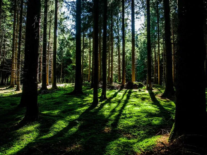 Newark Corporate DJ - Gallery image