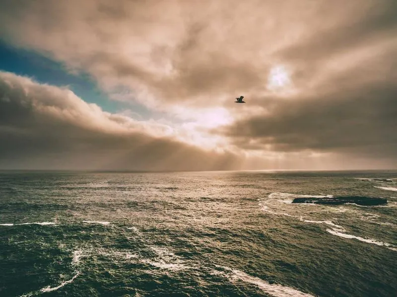 Cupertino Corporate DJ - Gallery image