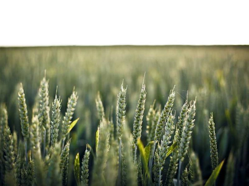 Concord Global Communications - Gallery image