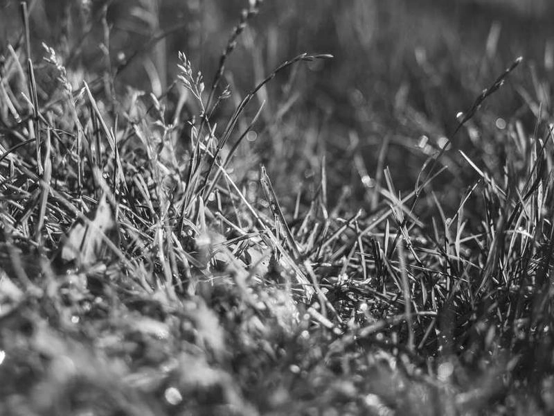 San Ramon Executive Conference Center - Gallery image