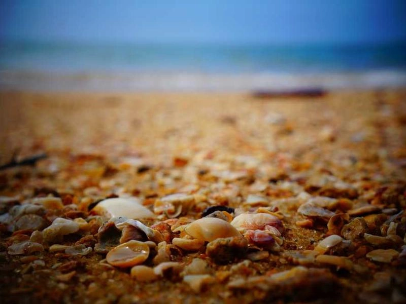 Oakland Bridge Builders - Gallery image