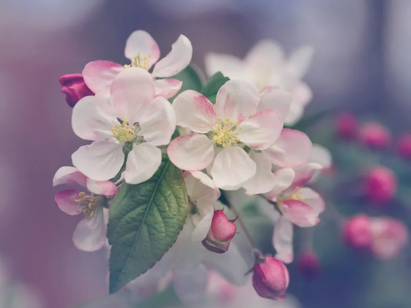 Security - Gallery image