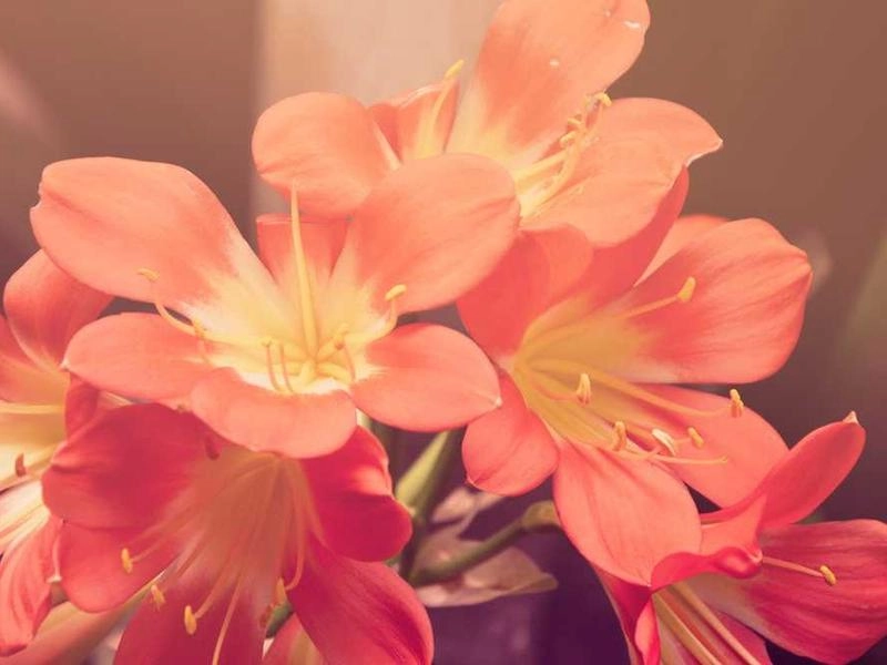 Concord Foundry Event Space - Gallery image