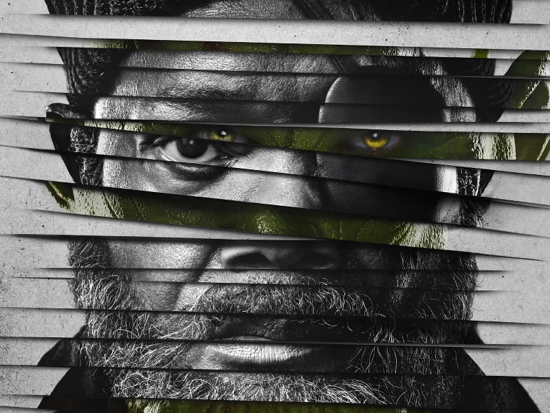 Rental Service - Gallery image