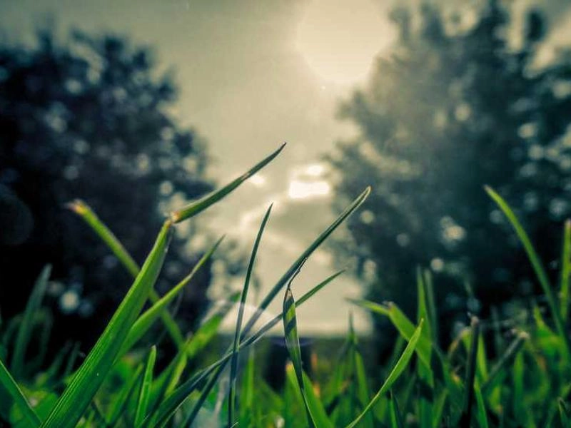 Moorpark Corporate Entertainment Collective - Featured image